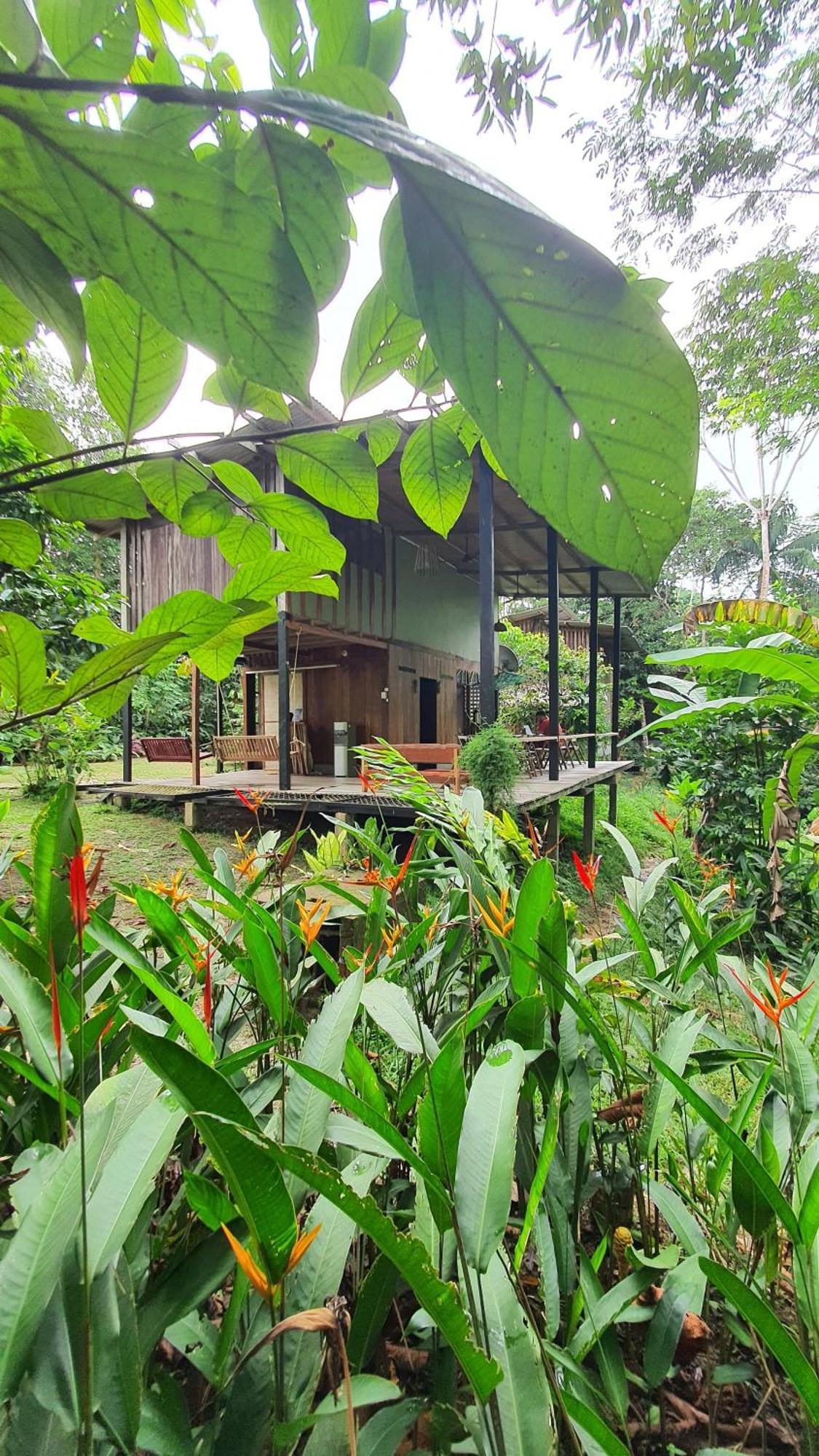 Amazona Lodge Leticia Eksteriør bilde
