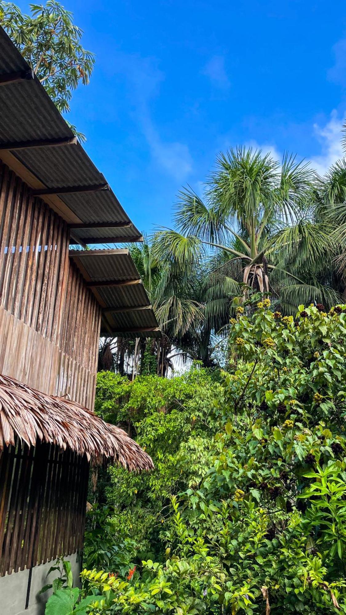 Amazona Lodge Leticia Eksteriør bilde