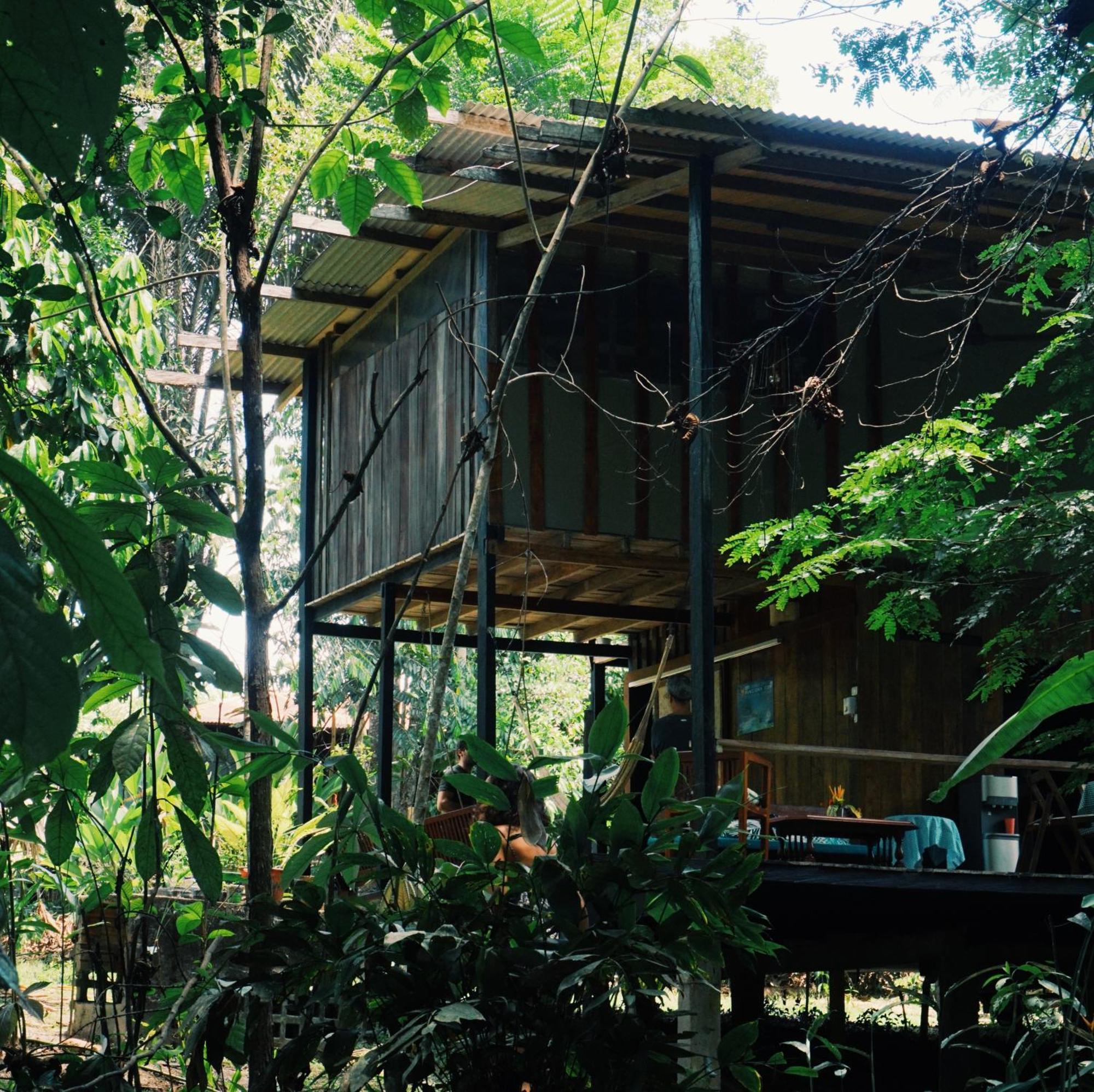 Amazona Lodge Leticia Eksteriør bilde